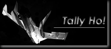 tally_logo3.jpg